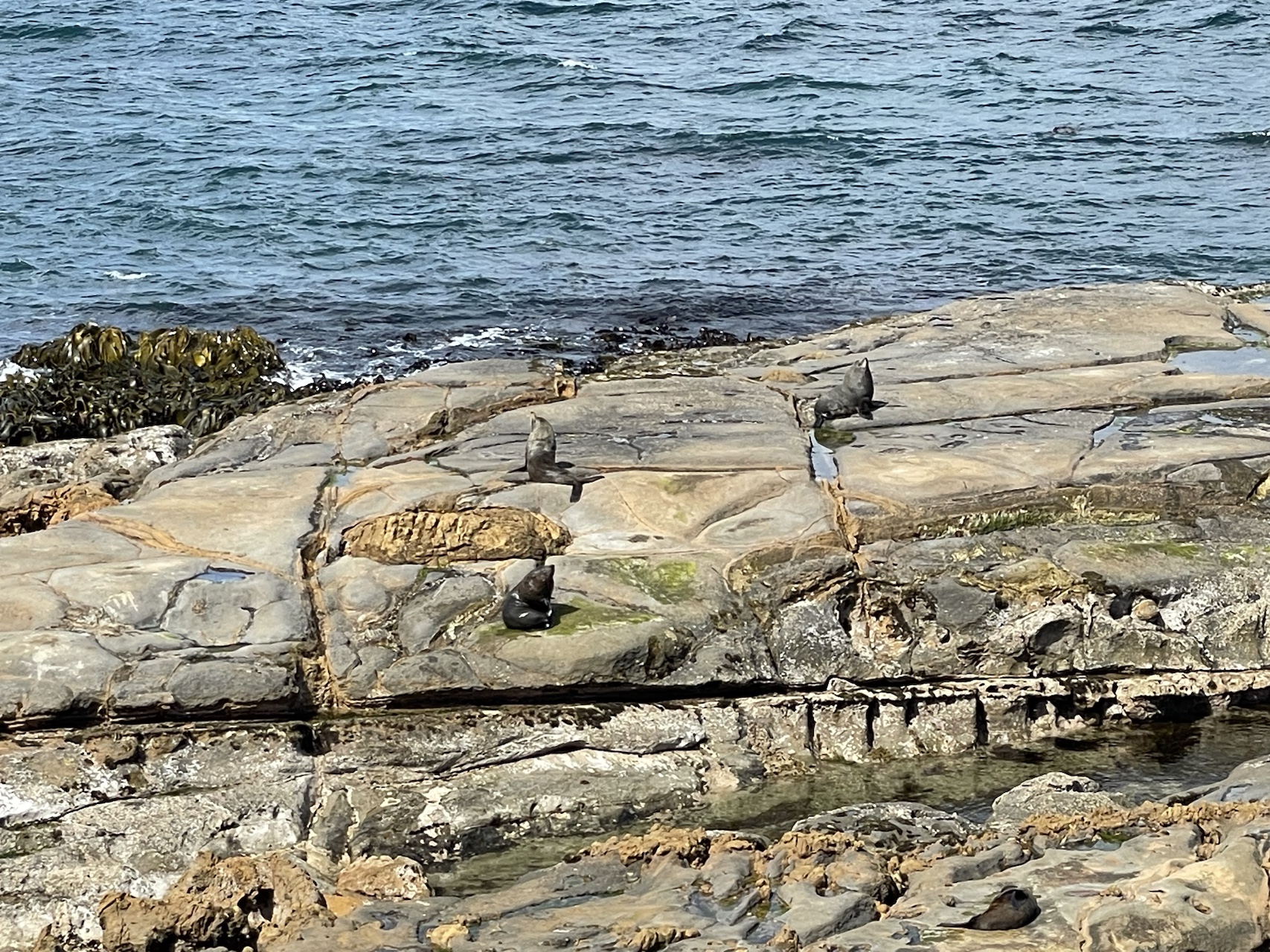 close-up seals