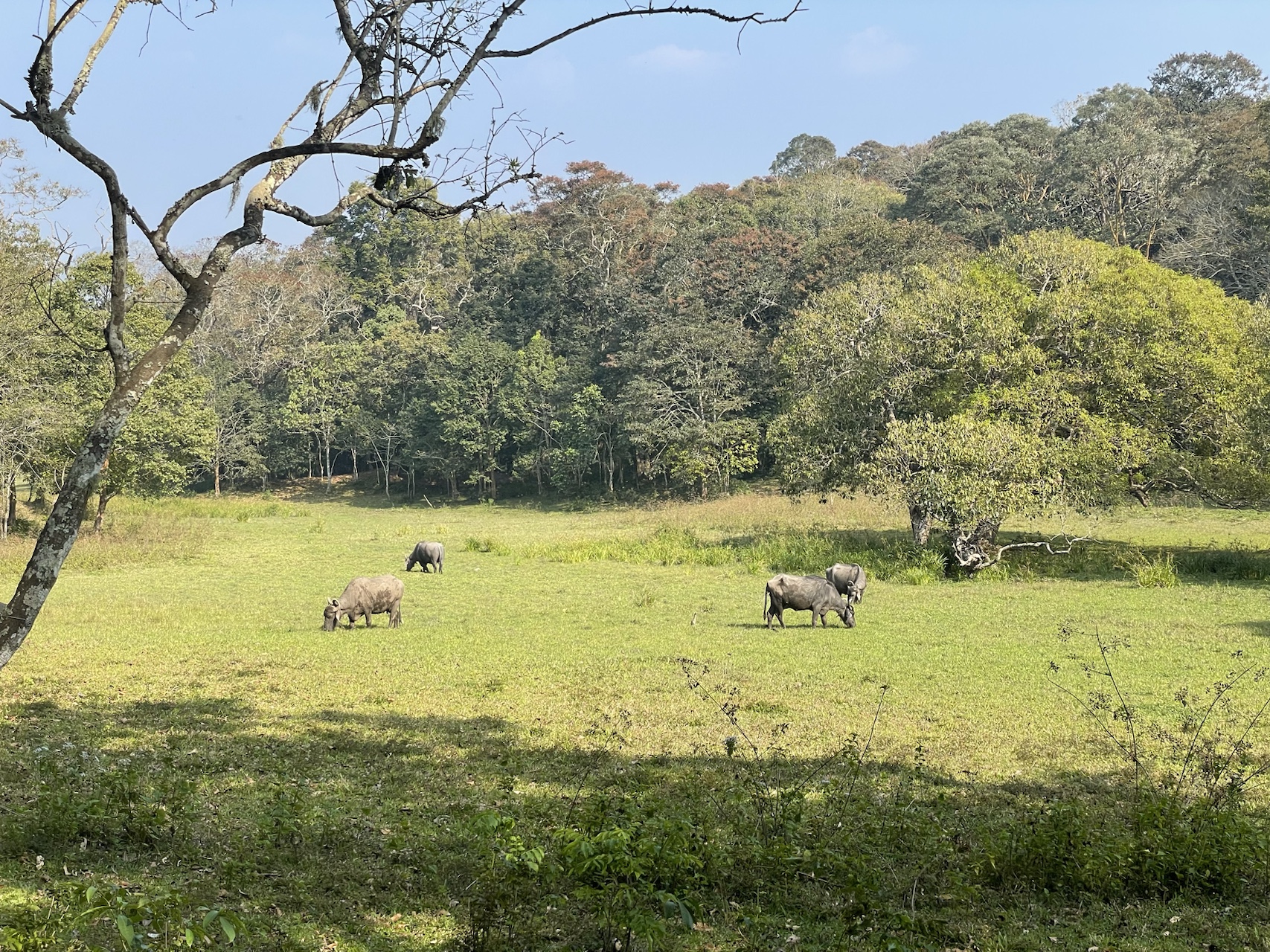Periyar
