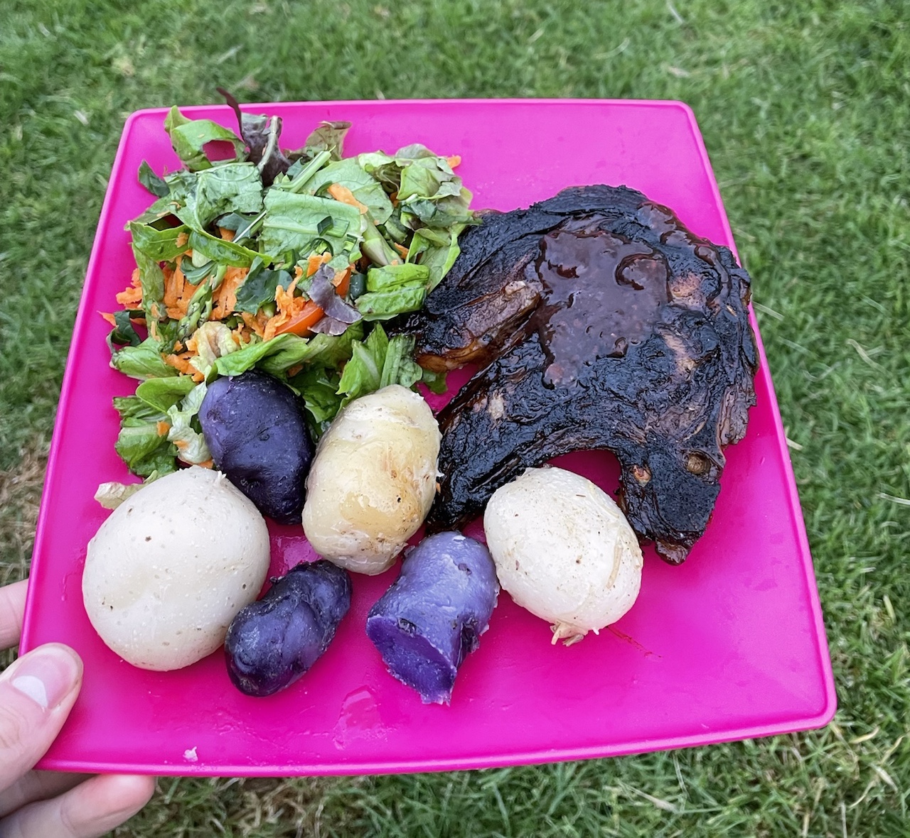 BBQ on farm